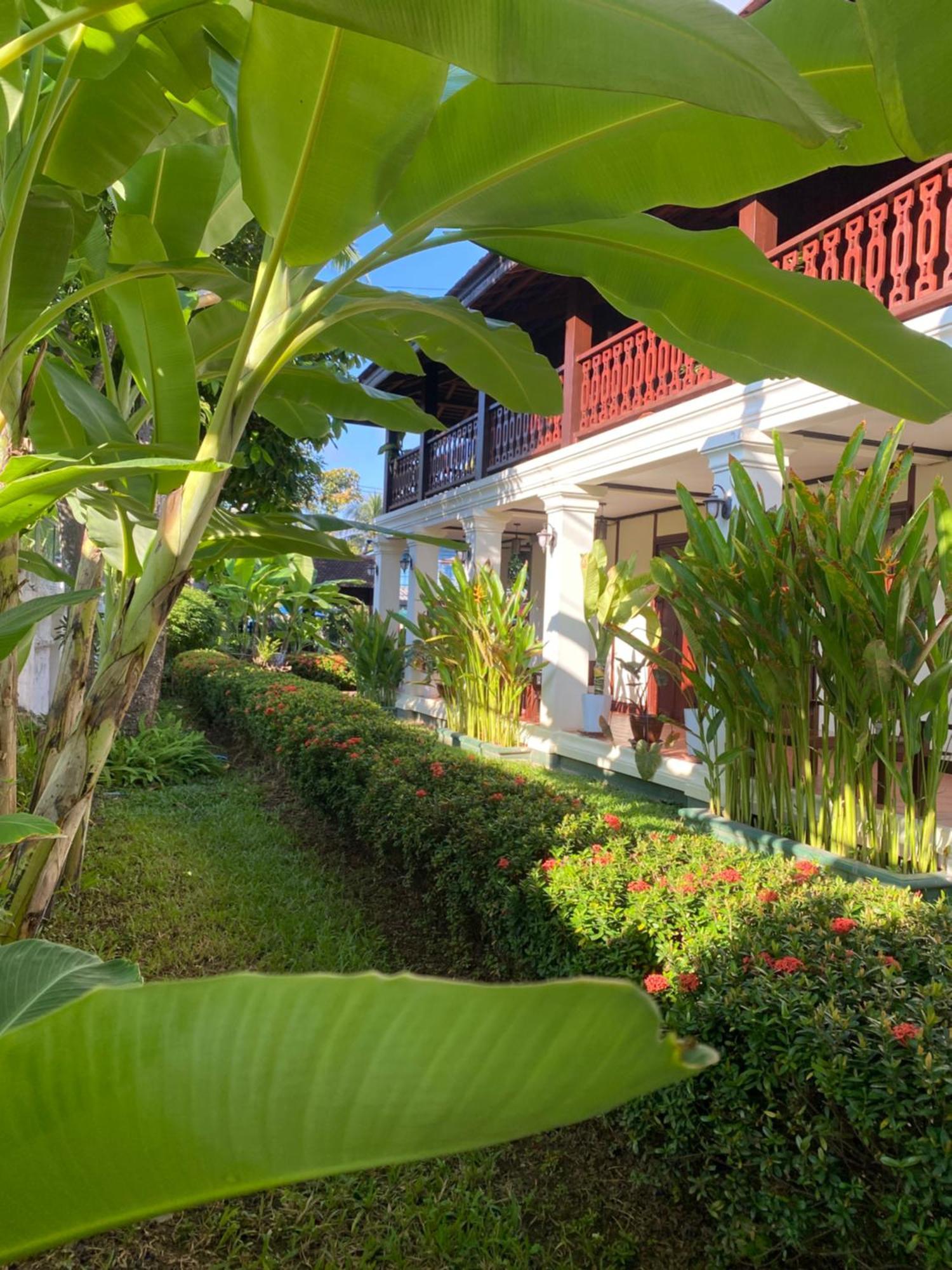 Luang Prabang Residence & Travel Exterior photo